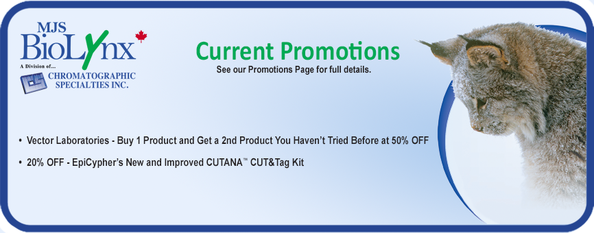 Current Promotions Banner